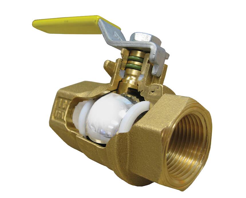 T-100NE-IH - Image 2