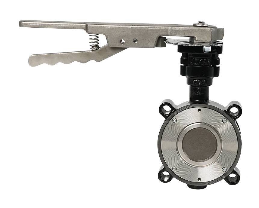 HPBFV Carbon Steel 150 Class - Image 2